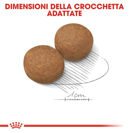 Royal Canin Maxi Adult 15 kg Secco Cane in Cani