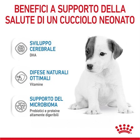 Royal Canin Babydog Milk 400 gr Latte in Polvere Per Cani in Cani