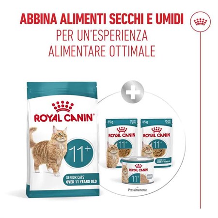 Royal Canin Senior Ageing 11+ 400 gr Per Gatti in Gatti