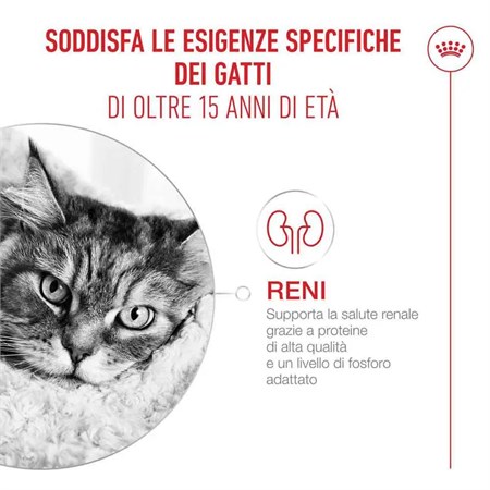 Royal Canin Senior Ageing 15+ 400 gr Per Gatti in Gatti
