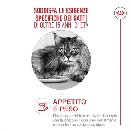 Royal Canin Senior Ageing 15+ 400 gr Per Gatti in Gatti