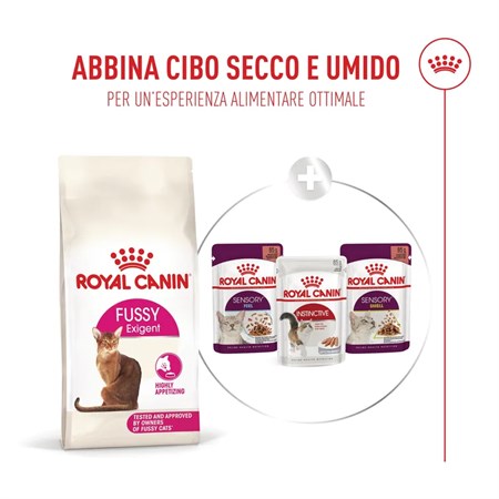 Royal Canin Fussy Exigent 400 gr Crocchette Per Gatto in Gatti