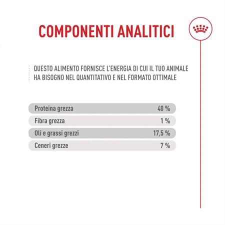 Royal Canin Fussy Exigent 10 Kg Crocchette Per Gatto in Gatti