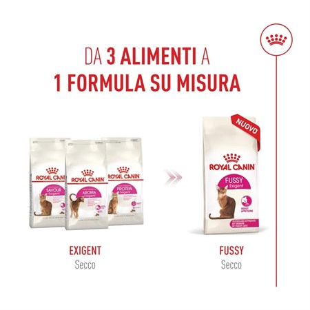 Royal Canin Fussy Exigent 10 Kg Crocchette Per Gatto in Gatti