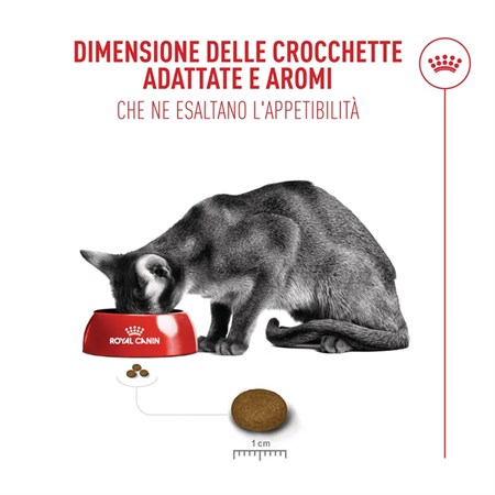 Royal Canin Fussy Exigent 10 Kg Crocchette Per Gatto in Gatti