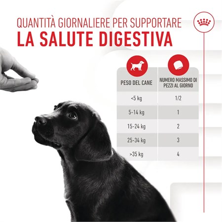 Royal Canin Immunity Digestion Puppy Chews Supplement 100 gr Snack cuccioli in Cani