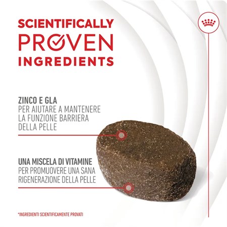 Royal Canin Skin Coat Chews Supplement 240 gr Snack Per Cani in Cani