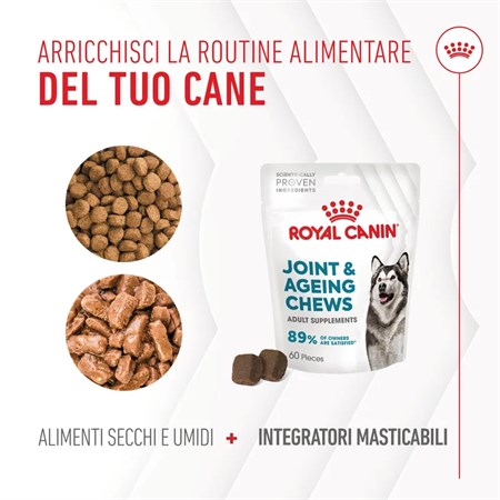 Royal Canin Joint Ageing Chews Supplement 240 gr Snack Per Cani in Cani