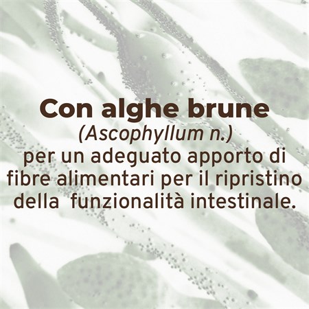 Forza 10 Active Intestinal Colon Agnello 390 Gr Barattolo Umido Per Cani in Cani