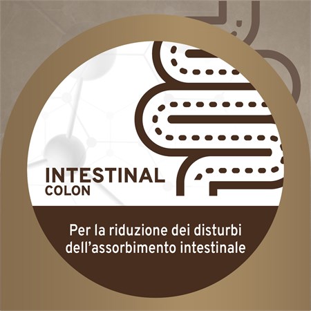 Forza 10 Active Intestinal Colon Agnello 390 Gr Barattolo Umido Per Cani in Cani