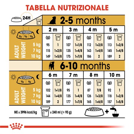 Royal Canin Jack Russel Terrier Puppy 1,5 kg SCAD PROD 31.12.25 in Cani