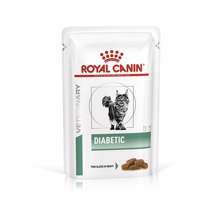 Royal Canin Diabetic 85 gr Bustina Umido Gatto ex formato 100 gr