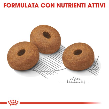 Royal Canin Maxi Light Weight Care 12 kg Per Cane in Cani