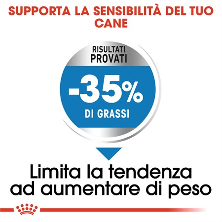 Royal Canin Maxi Light Weight Care 12 kg Per Cane in Cani