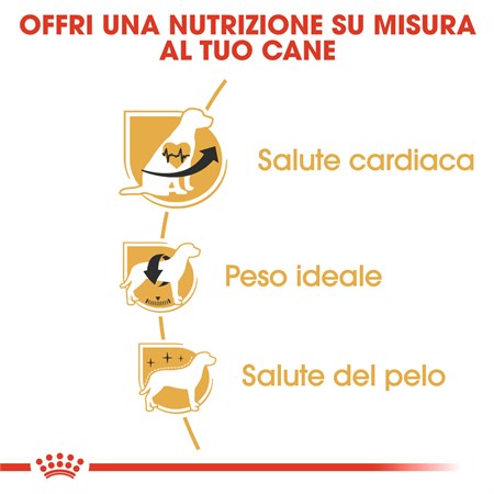 Royal Canin Cavalier King Charles Adult 7,5 kg per Cani DANNEGGIATO in Cani