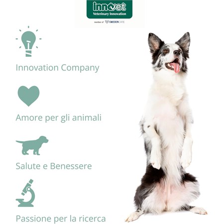 Innovet Calmalia Small 30 Soft Chew Per Cani in Cani