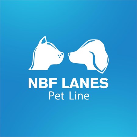 NBF Gastrovom 30 Stick Orali Per Cane e Gatto in Gatti