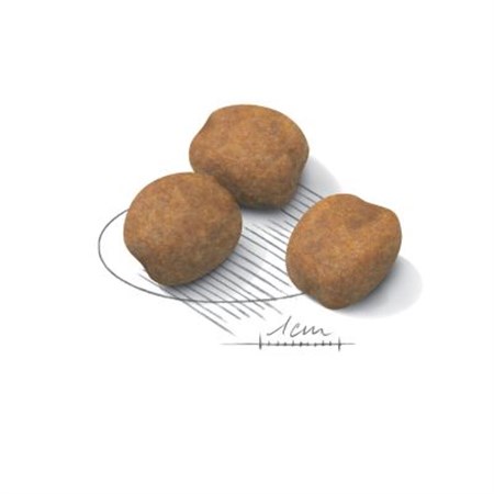 Royal Canin Giant Puppy 15 kg in Cani