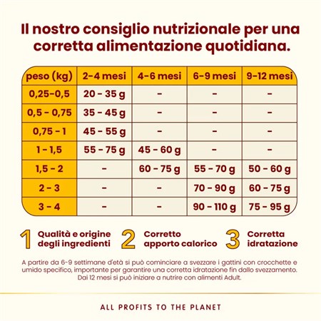 Almo Nature HFC Kitten Pollo 1,2 kg Crocchette Per Gattini in Gatti