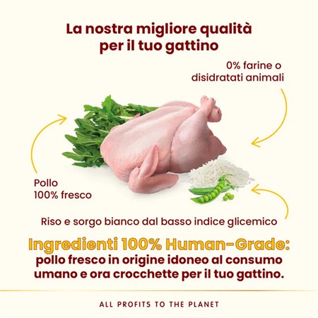 Almo Nature HFC Kitten Pollo 1,2 kg Crocchette Per Gattini in Gatti