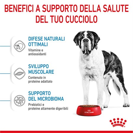 Royal Canin Giant Junior kg 15 in Cani