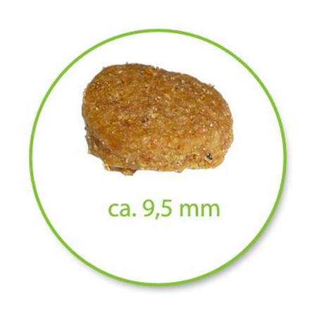 Purina Pro Plan Renal Plus Adult Pollo 10 kg Gatti Adulti in Gatti