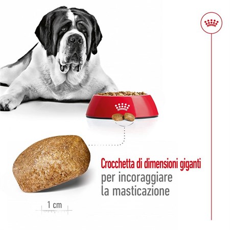 Royal Canin Giant Adult 15 kg Per Cane in Cani