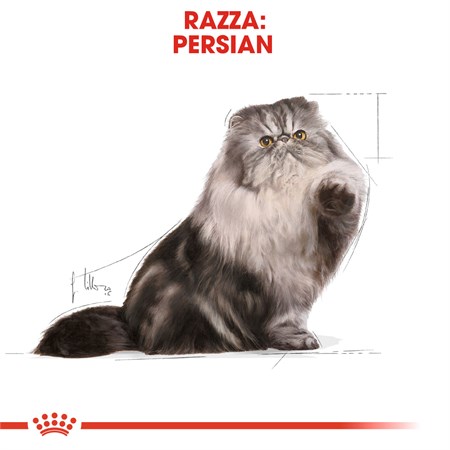 Royal Canin Persian Adult 400 gr Per Gatti in Gatti