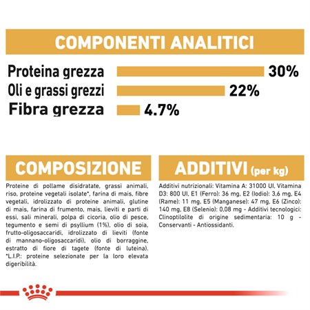 Royal Canin Persian Adult 10 kg Per Gatti in Gatti
