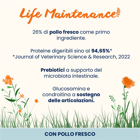 Almo Nature Life Maintenance Adult Large dog 12 kg Pollo Fresco per Cani in Cani