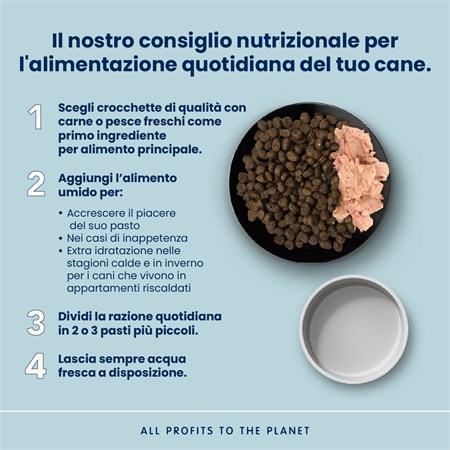 Almo Nature Life Maintenance Adult Large dog 12 kg Pollo Fresco per Cani in Cani