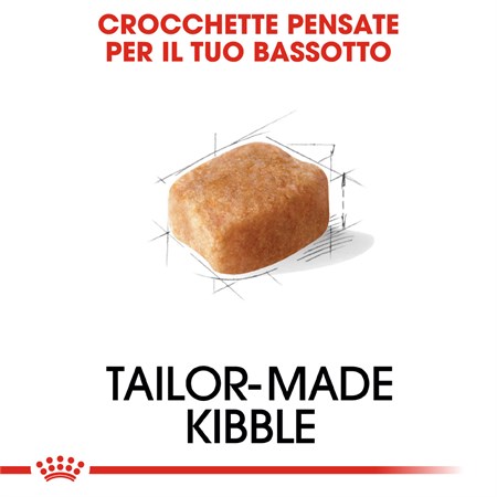 Royal Canin Dachshund Adult 1,5 kg Per Cane Bassotto in Cani