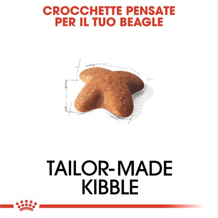 Royal Canin Beagle Adult 3 kg per Cane in Cani