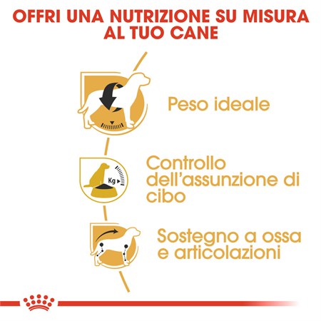 Royal Canin Beagle Adult 12 kg per Cane in Cani