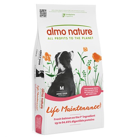 almo nature holistic medium adult dog 12 kg salmone e riso per cani