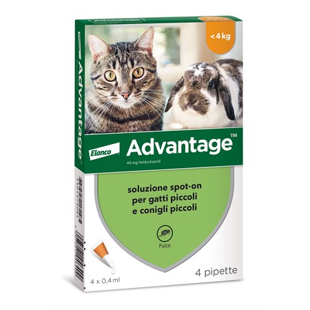 bayer advantage 40 mg per gatto fino a 4 kg 4 pipette antiparassitario