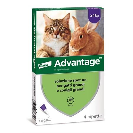 bayer advantage 80 mg per gatto oltre 4 kg 4 pipette antiparassitario