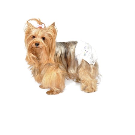 camon 12 pannolini mutandina taglia xs per cani femmina