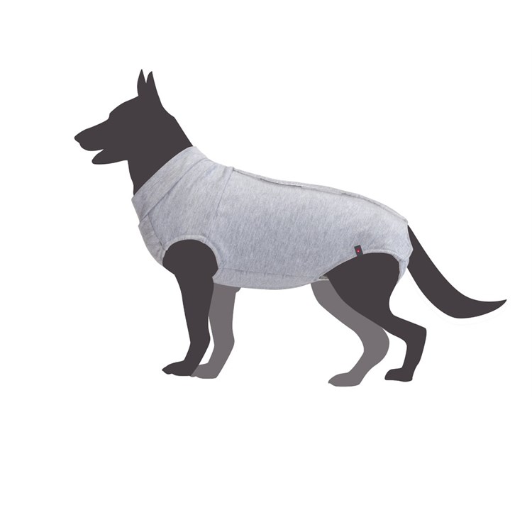 Camon Body Tutina Post Operatoria 36 cm Per Cane