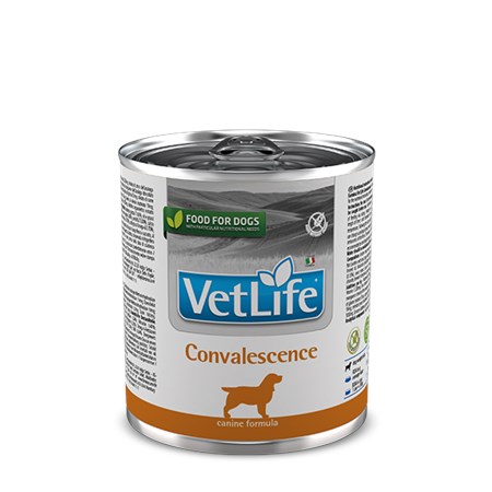 farmina vet life convalescence 300 gr barattolo umido per cani