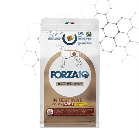 forza 10 active vet diet intestinal colon fase 2 agnello 1 5 kg crocchette per cani