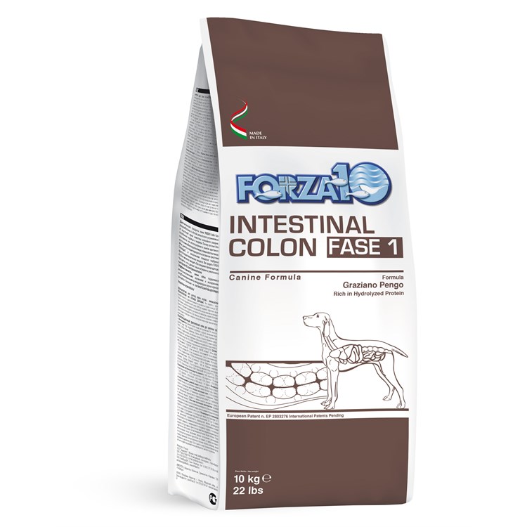 Forza 10 Intestinal Colon Fase 1 10 kg Cane DANNEGGIATO