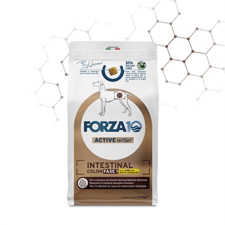 forza 10 intestinal colon fase 1 agnello sorgo 1 5 kg per cani