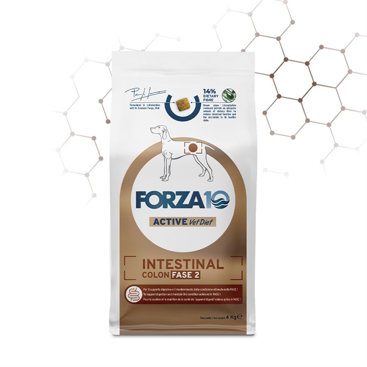 Forza 10 Active Intestinal Colon Fase 2 10 kg Cane