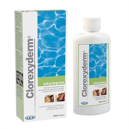 icf clorexyderm shampoo 250 ml