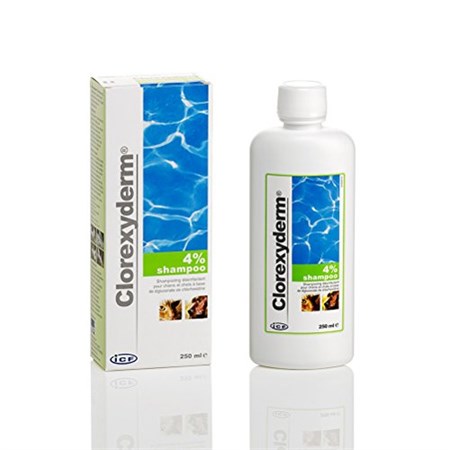 icf clorexyderm shampoo 4 250 ml