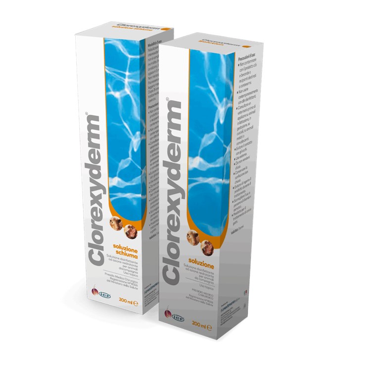 Icf Clorexyderm Soluzione Schiuma 200 ml