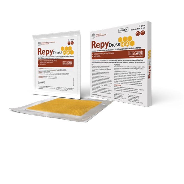 Innovet repy dress HA 10 x 10 cm 10 unità