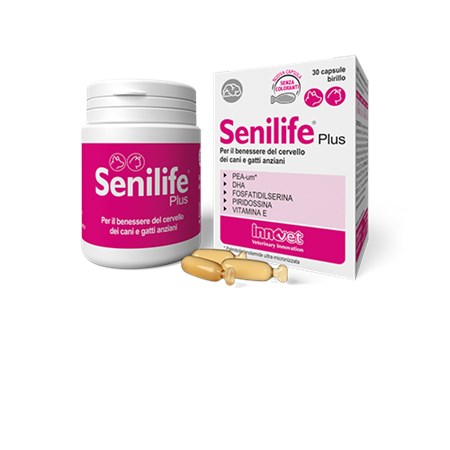 innovet senilife plus 30 capsule birillo monodose per cani e gatti