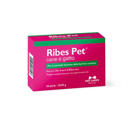 nbf lanes ribes pet 30 perle